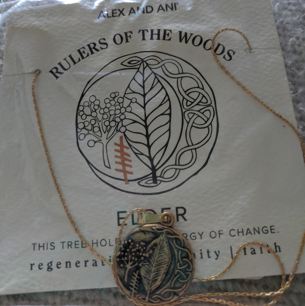 Alex and Ani Expandable Necklace